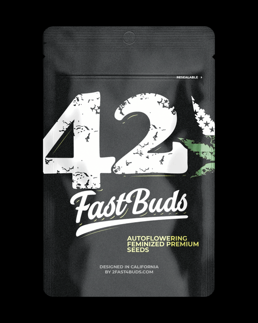 Afghan Kush Auto Seeds von Fast Buds – feminisierte Autoflower Samen