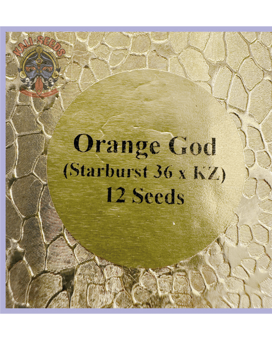 Orange God – 10 Regular Seeds - 420Strainz