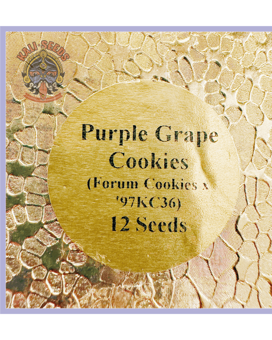 Purple Grape Cookies – 10 Regular Seeds - 420Strainz