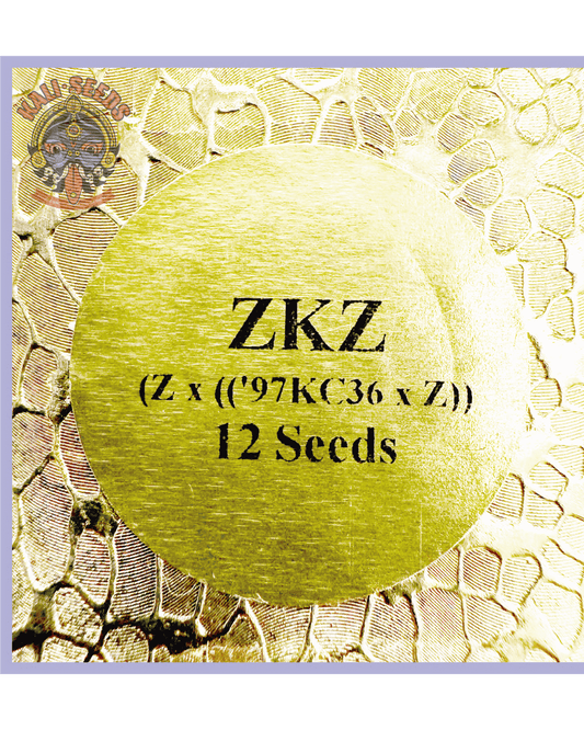 ZKZ (Zkittlez x '97 KC36 BX) – 12 Regular Seeds - 420Strainz