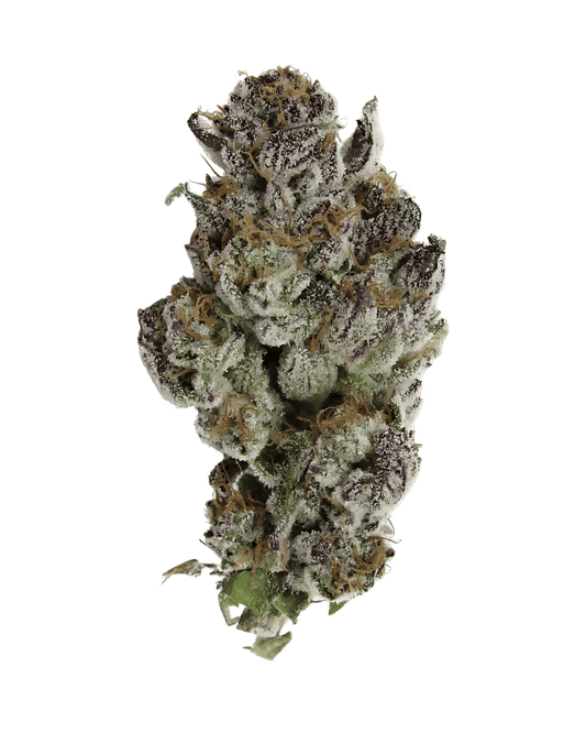 Grape Cream Cake x Crumble Broze – Regular Seeds (10er Pack) - 420Strainz