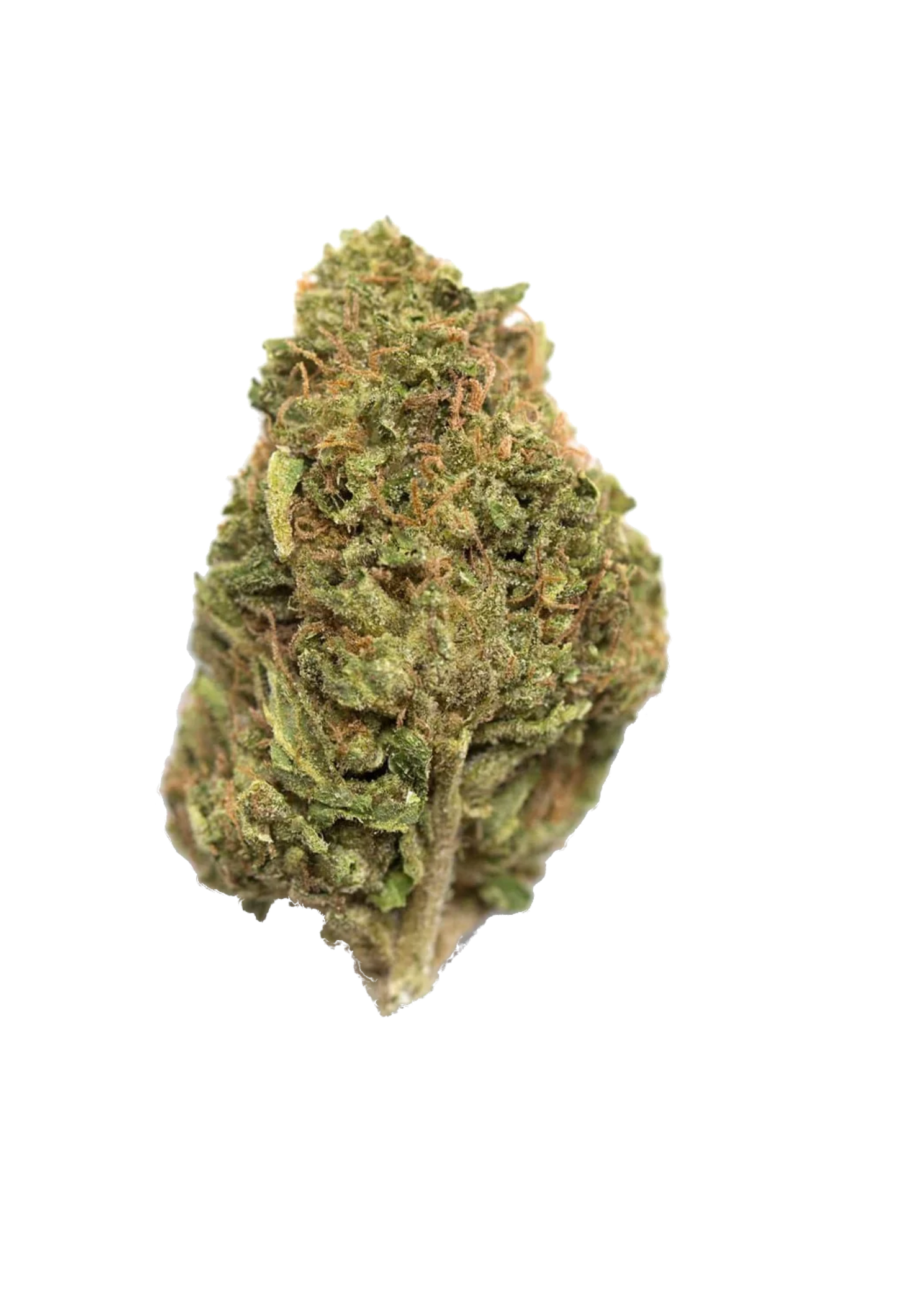Blue Zushi - 420Strainz