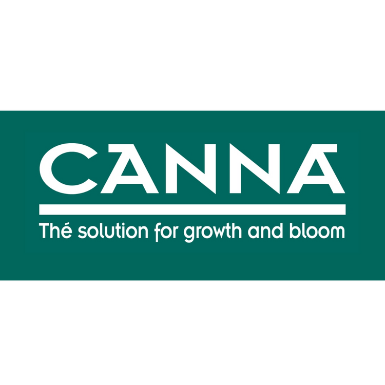 Canna - 420Strainz
