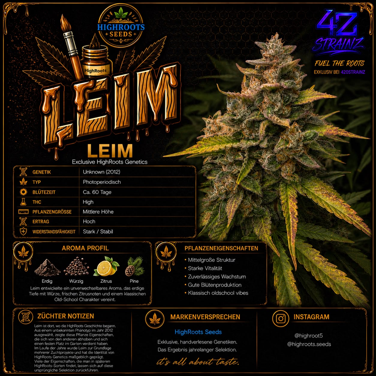 LEIM – Exclusive HighRoots Genetics