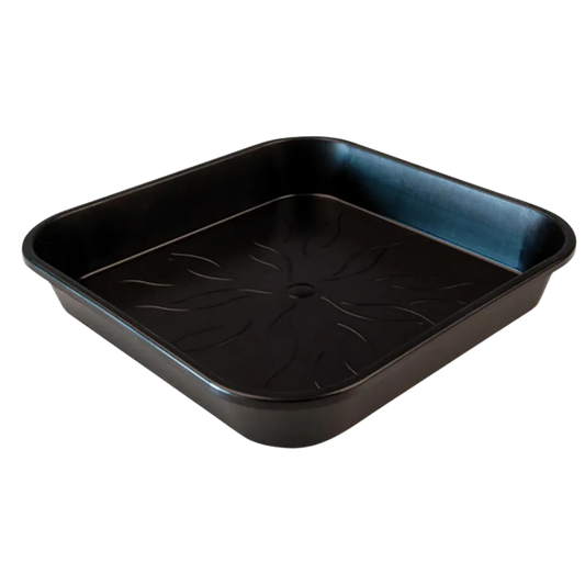 PotKing Untersetzer - 420Strainz