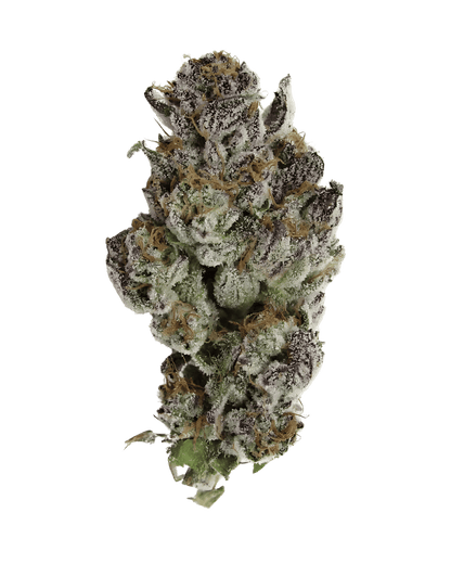Grape Cream Cake x Crumble Broze – Regular Seeds (10er Pack) - 420Strainz