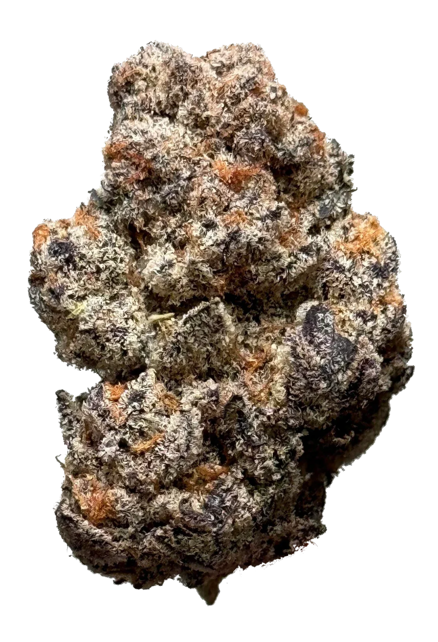 Astronaut Status #24 - 420Strains
