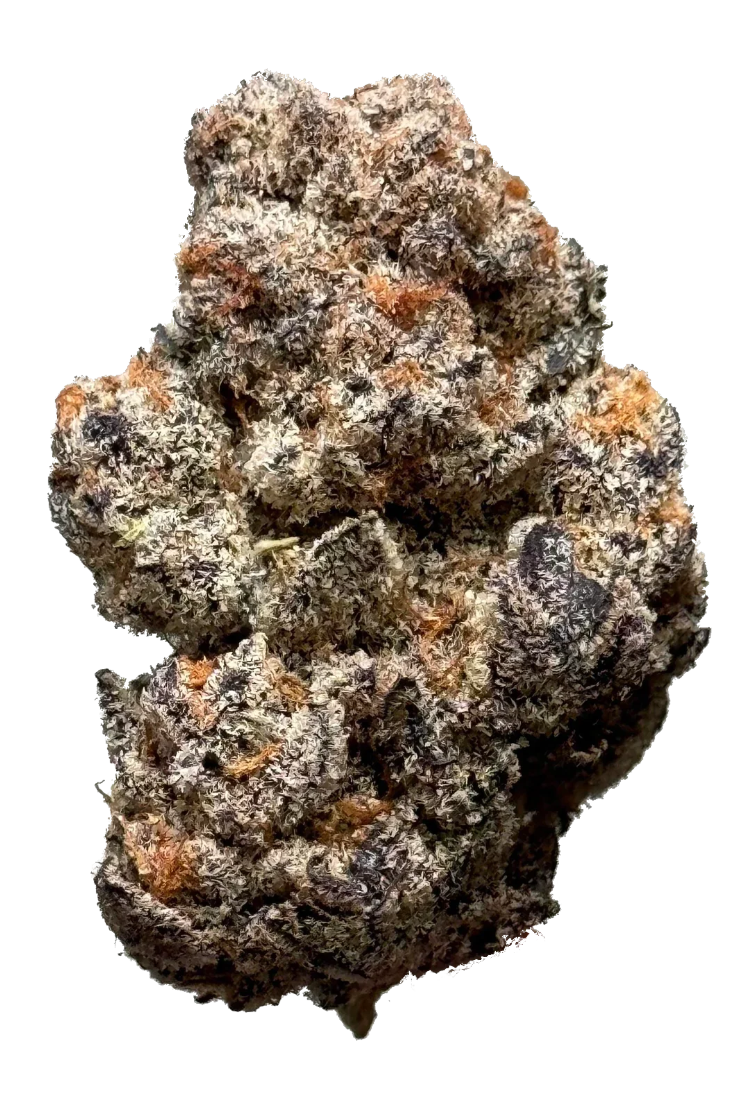 Astronaut Status #24 - 420Strains