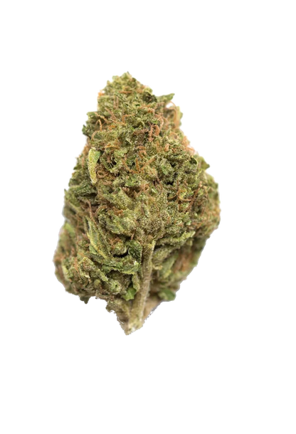 Blue Zushi (US Cut) - 420Strains